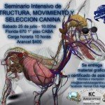 Imagen destacada del artículo «Estructura y Movimiento»